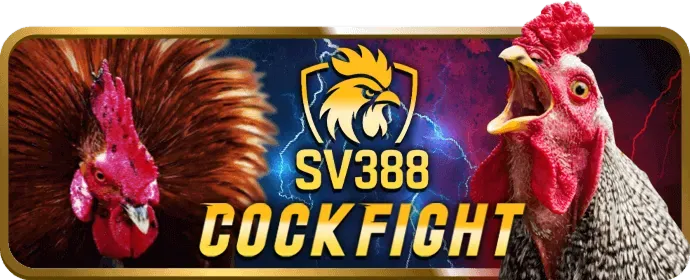Các tính năng nổi bật của pk345 casino thể thao
